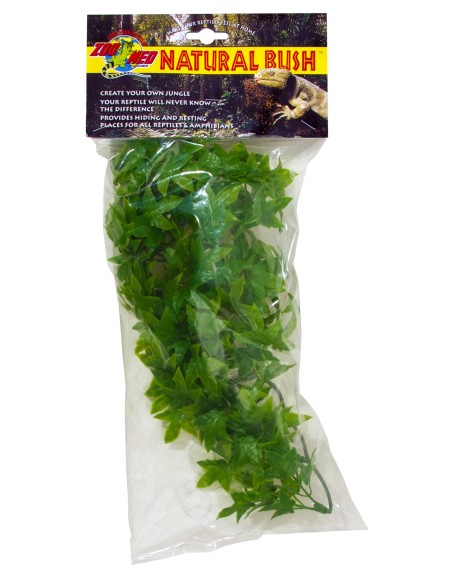 Plante Congo Ivy déco pour terrarium 56cm