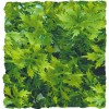 Plante Australian Maple déco pour terrarium 56cm