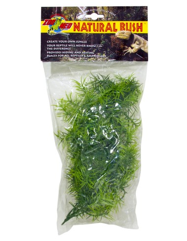 Plante Cashuarina déco pour terrarium 56cm