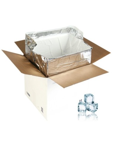 Souris congelées XL 23 à 31g en sac de 10