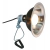 Support de lampe Clamp Lamp Zoo Med