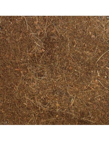 Litière fibre de coco Eco Earth de ZooMed pour terrarium tropical
