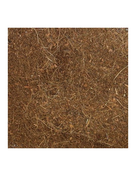 Litière fibre de coco Eco Earth de ZooMed pour terrarium tropical