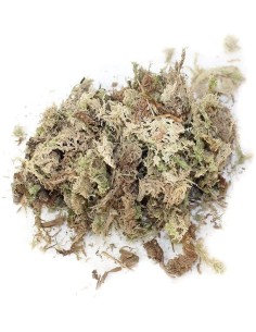 Litière Sphagnum Moss 1,3L de ZooMed pour terrarium tropical 2