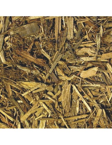 Litière paillis de cyprès Forest Floor de ZooMed pour terrarium tropical