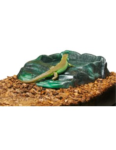 Bol ReptiRamp grand ZooMed pour reptile