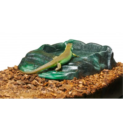 Bol ReptiRamp grand ZooMed pour reptile