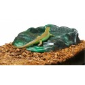 Bol ReptiRamp grand ZooMed pour reptile - indisponible