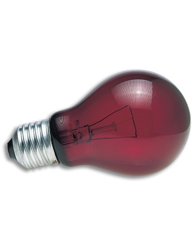 Lampe nocturne rouge 60W Zoo Med pour terrarium