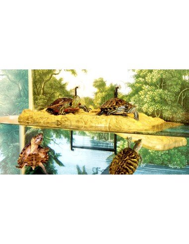 Ile rock flottant pour tortue medium taille Zoo Med