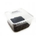 Vers de terre dendrobena (*) Boîte transparente de 70g