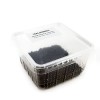 Vers de terre dendrobena (*) Boîte transparente de 70g
