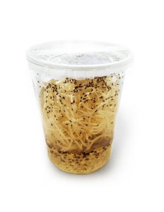 Drosophiles mini, aliment pour reptiles