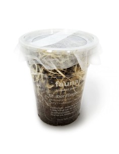 Drosophiles adultes, aliment pour reptiles