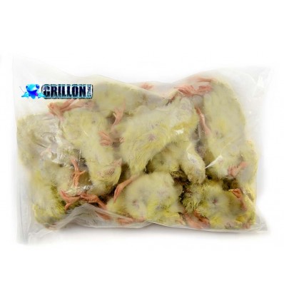 Poussins congelés en sac 1 Kg