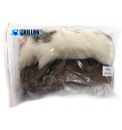 Rats congelés Taille XXXL +350g en sac de 2