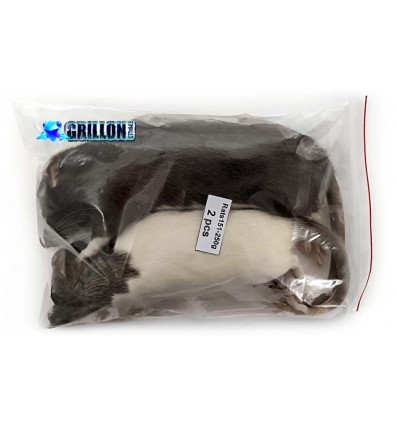 Rats congelés XL 151 à 250g en sac de 2