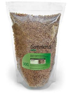 Gammarus séchés 300g