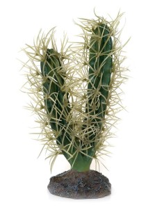 Cactus décoratif hobby