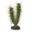 Cactus décoratif Hobby