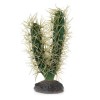 Cactus décoratif hobby