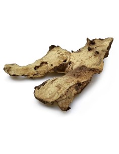 Racine Mopani 30 à 45 cm Zolux déco pour terrarium-RA-014