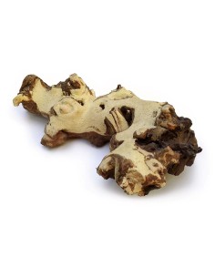 Racine Mopani 15 à 30 cm Zolux déco pour terrarium