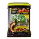 Creatures Habitat Kit de Zoo Med , le vivarium pour insectes - indisponible