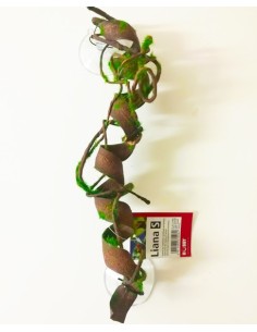 Liane tropicale décorative 40cm pour terrarium