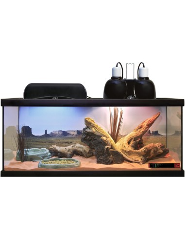 Terrarium ReptiHabitat 152 litres pour Pogona - Kit complet