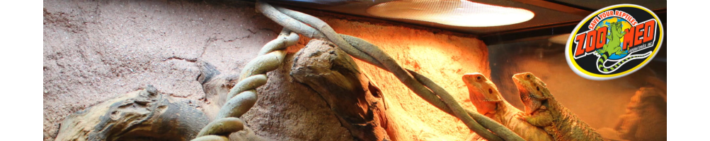 Décors et habitat pour terrarium