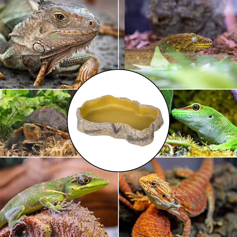 Plat de nourriture Repti Zoo taille moyenne pour reptiles