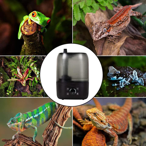 Humidificateur de reptile, Améliorez l'appareil Brumisateur  d'humidificateur à reptiles avec tube d'extension Fournitures pour animaux  Brumisateur