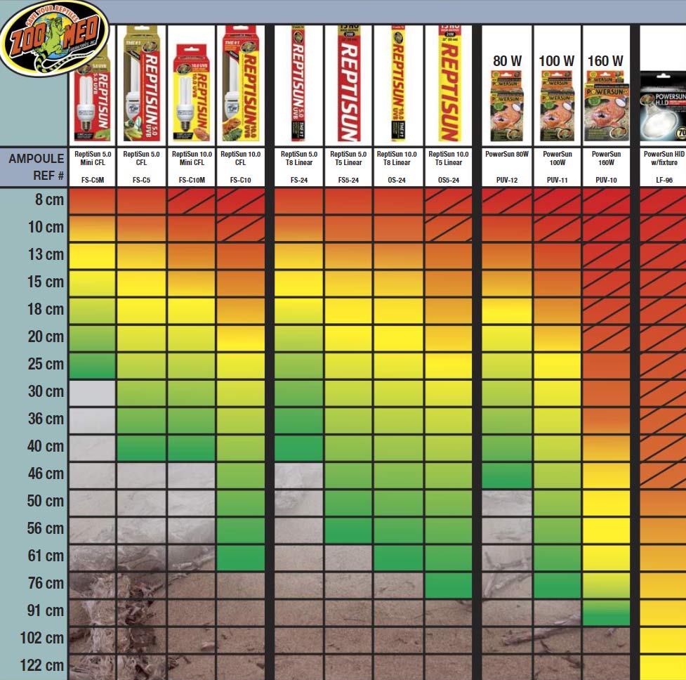 Tableau d'utilisation des lampes chauffantes pour reptiles en terrarium