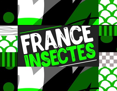 France Insectes